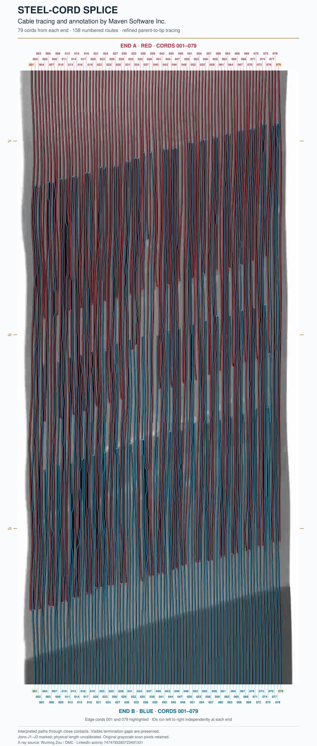 Stitched splice X-ray with 79 red End A cords and 79 blue End B cords, numbered independently at each end. The middle interval appears shorter than the outer intervals.